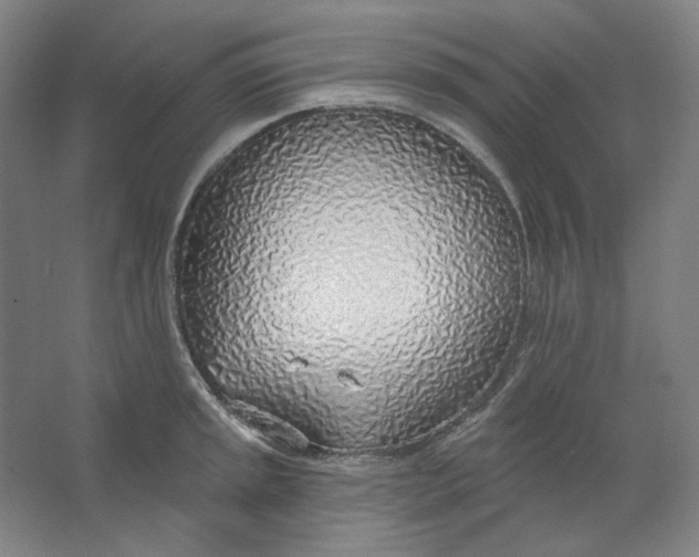 X0000063451045200602101643