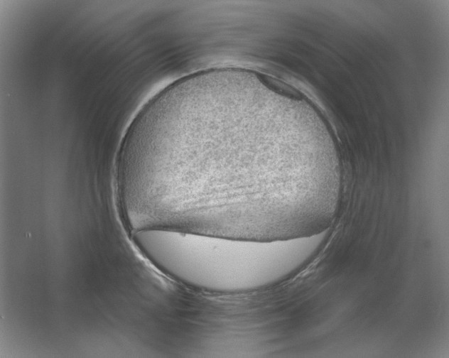 X0000063451048200602101643