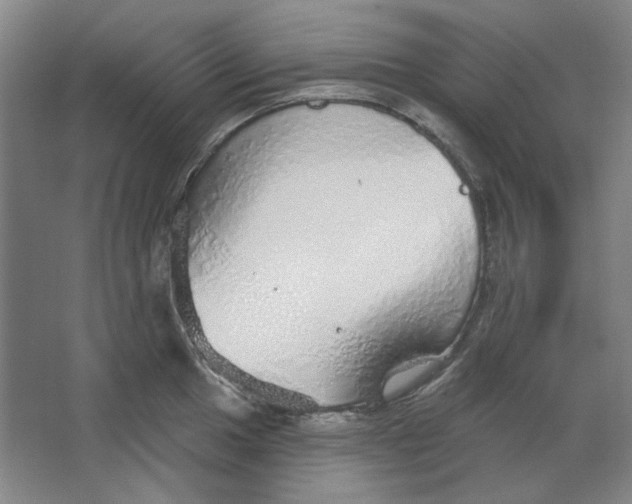 X0000063451049200602101643