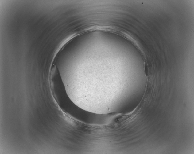 X0000063451050200602101643