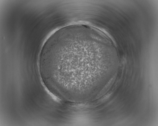 X0000063451054200602101643