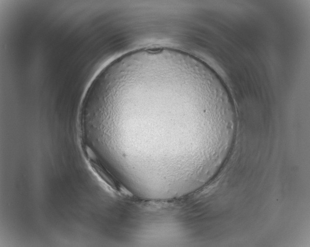 X0000063451056200602101643