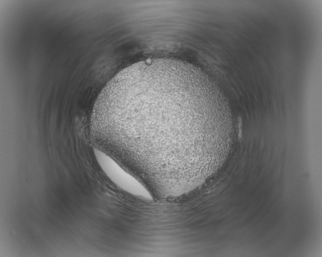 X0000063451059200602101642