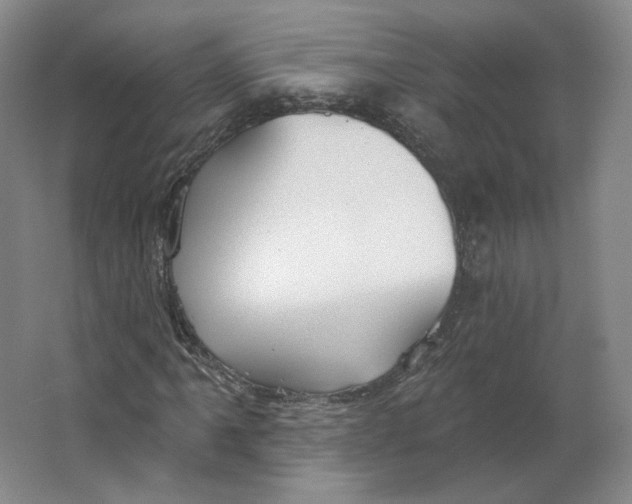 X0000063451061200602101642