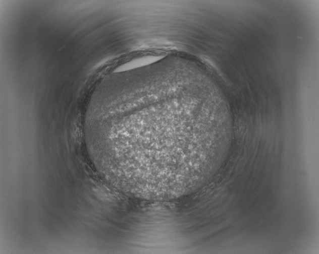 X0000063451063200602101642