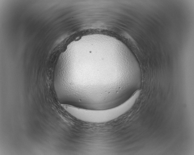 X0000063451064200602101642