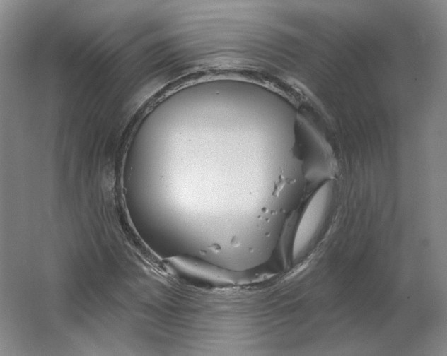 X0000063451065200602101642