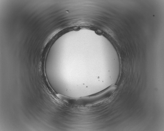 X0000063451066200602101642