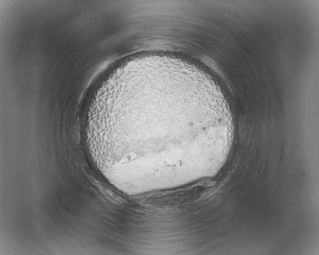 X0000063451067200602101642