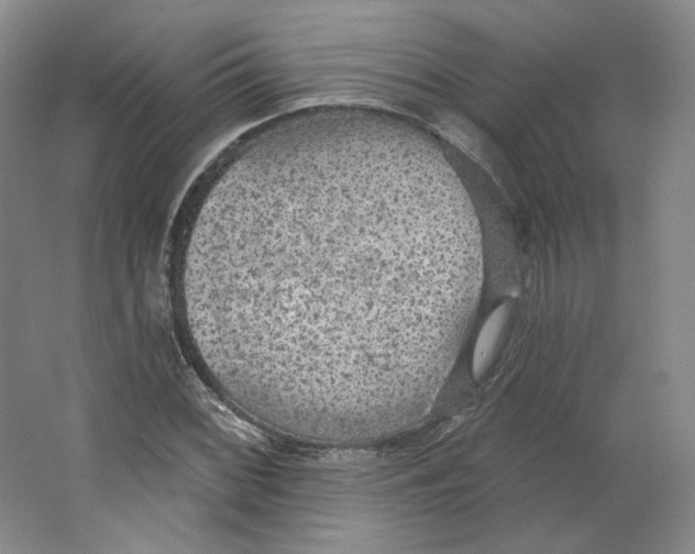 X0000063451068200602101642