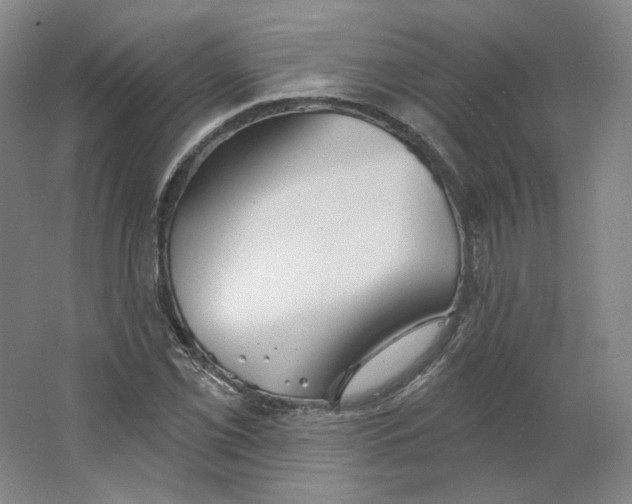 X0000063451069200602101642