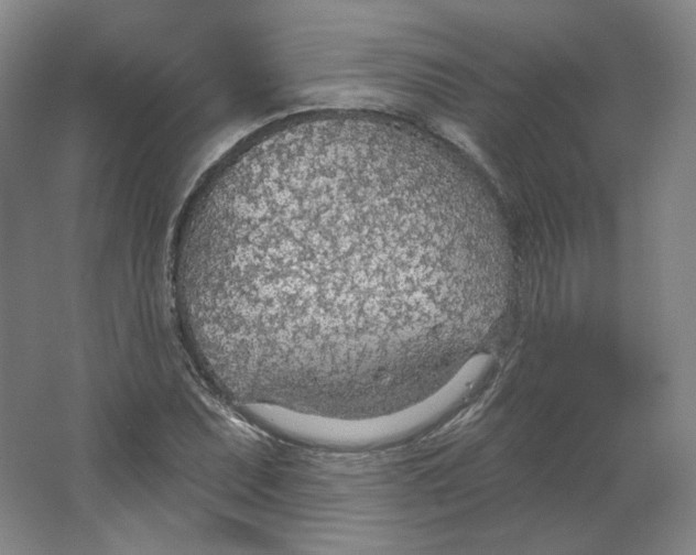 X0000063451071200602101642