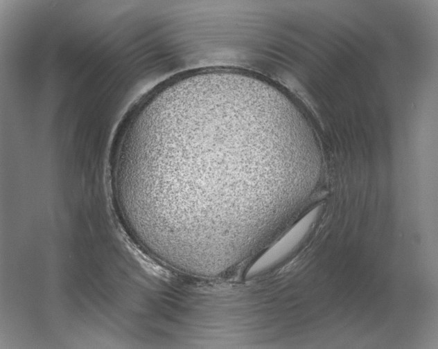 X0000063451072200602101642