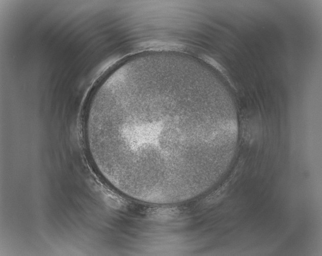 X0000063451074200602101642