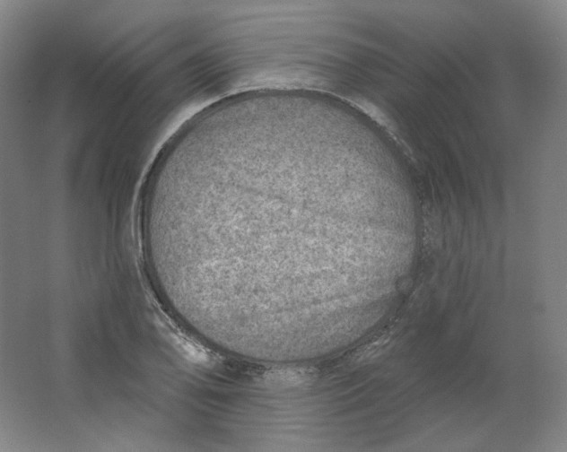 X0000063451078200602101642