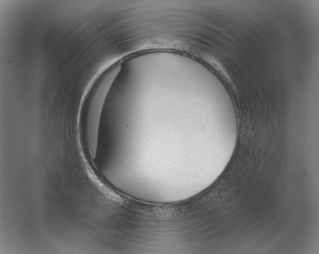 X0000063451080200602101642