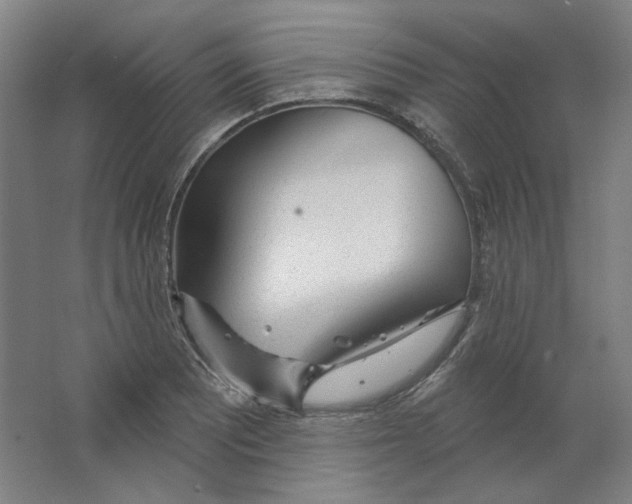 X0000063451081200602101642