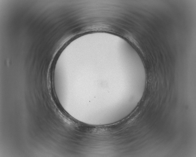 X0000063451082200602101642