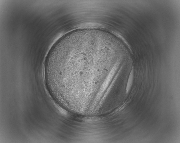 X0000063451083200602101642