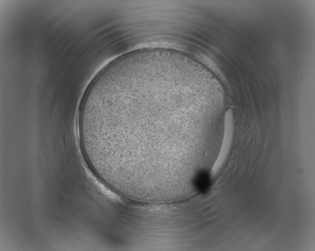 X0000063451084200602101642