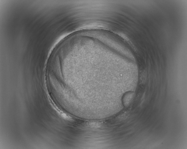 X0000063451086200602101642