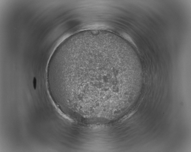 X0000063451087200602101642