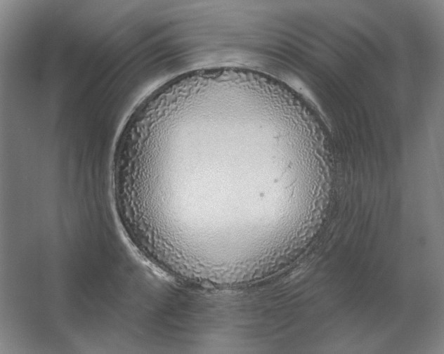 X0000063451088200602101642