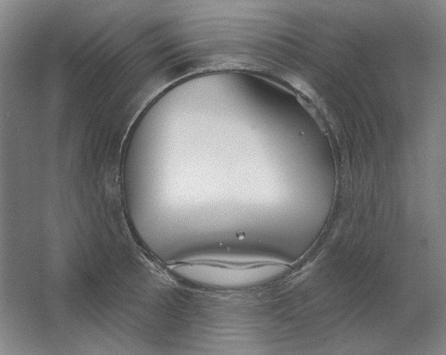 X0000063451089200602101642