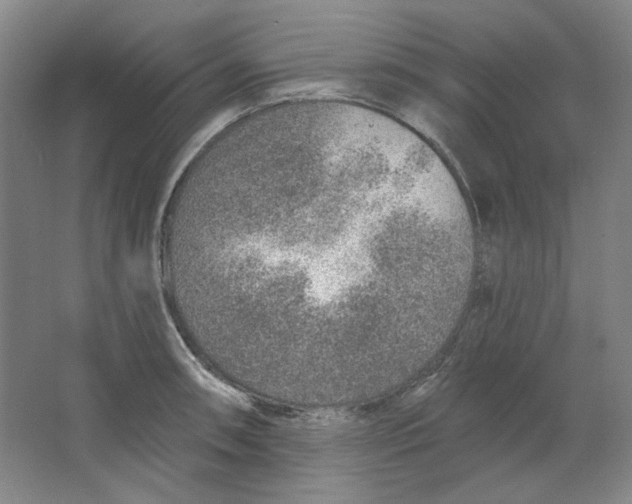 X0000063451090200602101642