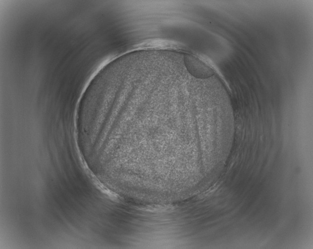 X0000063451091200602101642