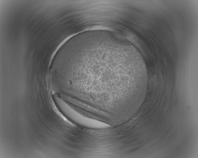 X0000063451092200602101642