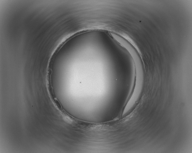 X0000063451093200602101642