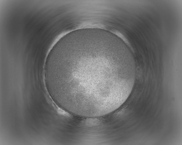 X0000063451094200602101642