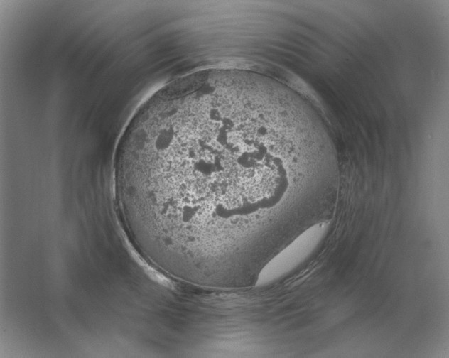 X0000063451095200602101642