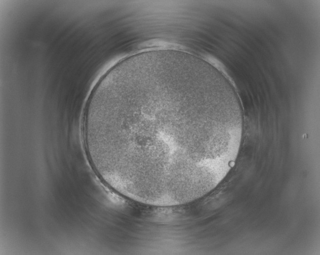 X0000063451098200602101642