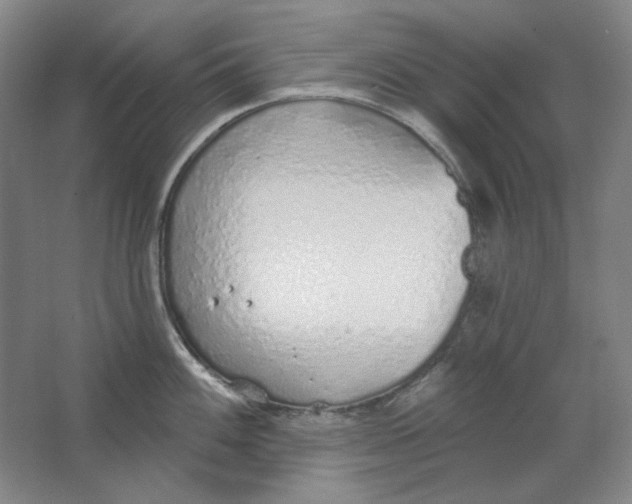 X0000063451100200602101642