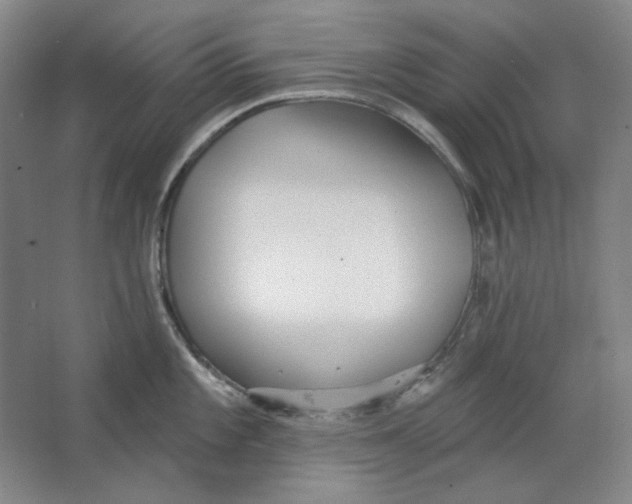 X0000063451101200602101642