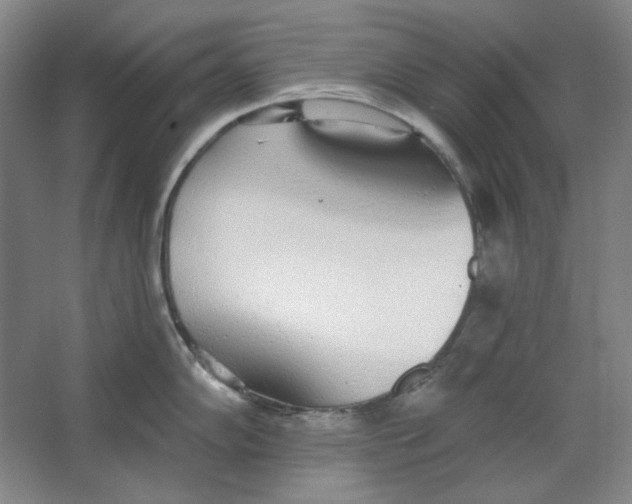 X0000063451102200602101642