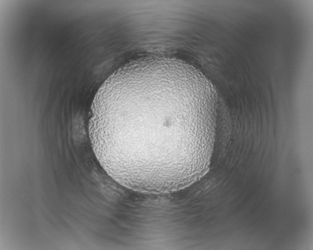 X0000063451106200602101641