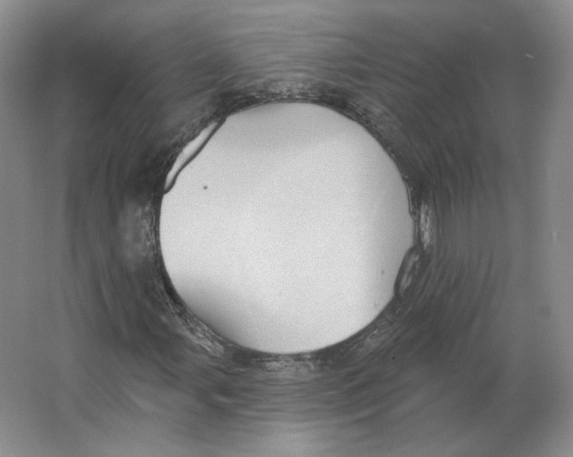 X0000063451107200602101641