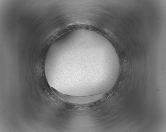 X0000063451110200602101641