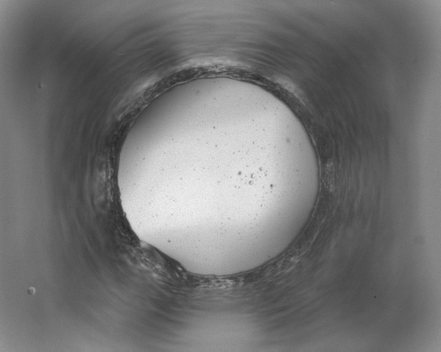 X0000063451111200602101641