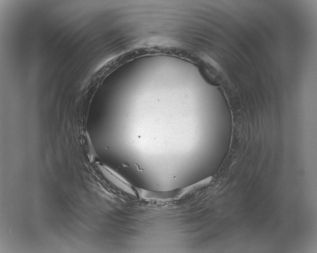 X0000063451112200602101641