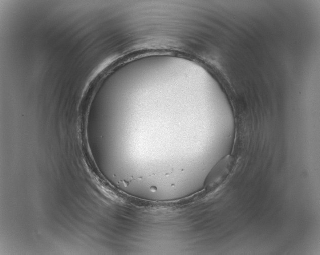 X0000063451114200602101641