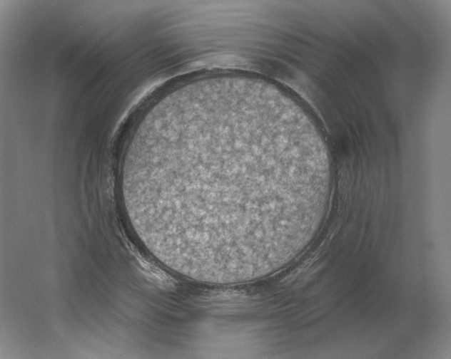 X0000063451115200602101641