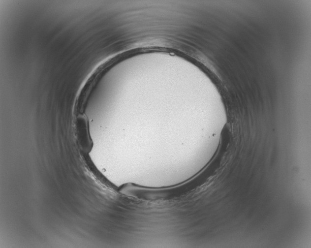 X0000063451116200602101641