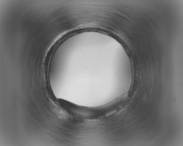 X0000063451118200602101641