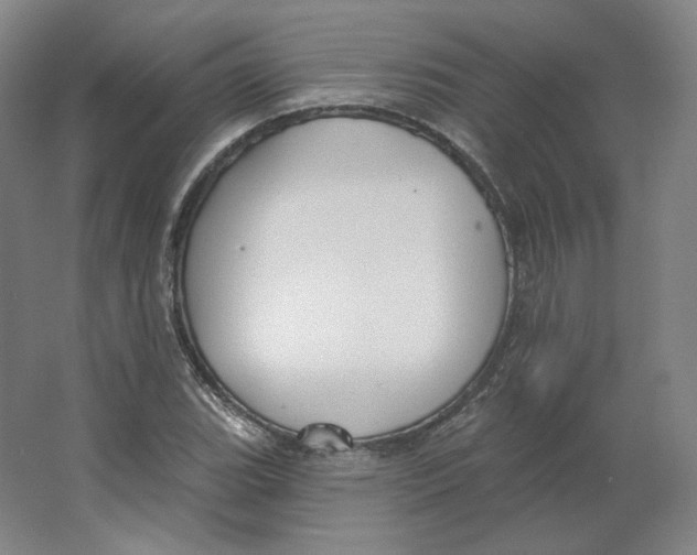 X0000063451119200602101641