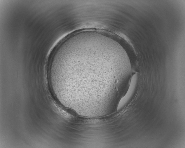 X0000063451120200602101641