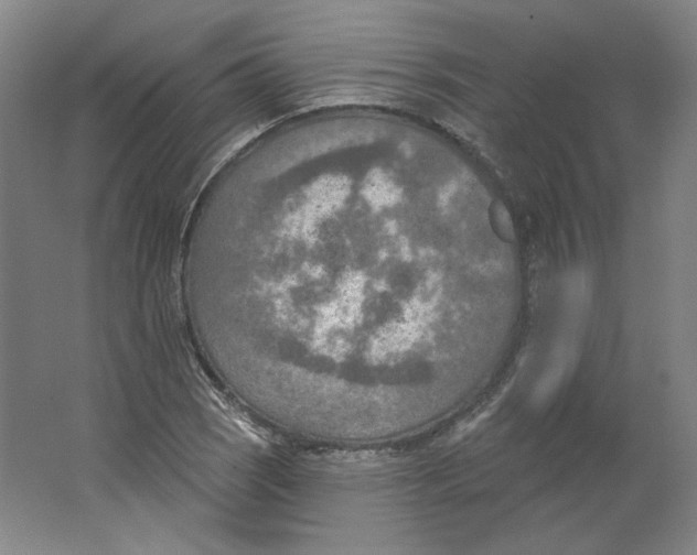 X0000063451121200602101641